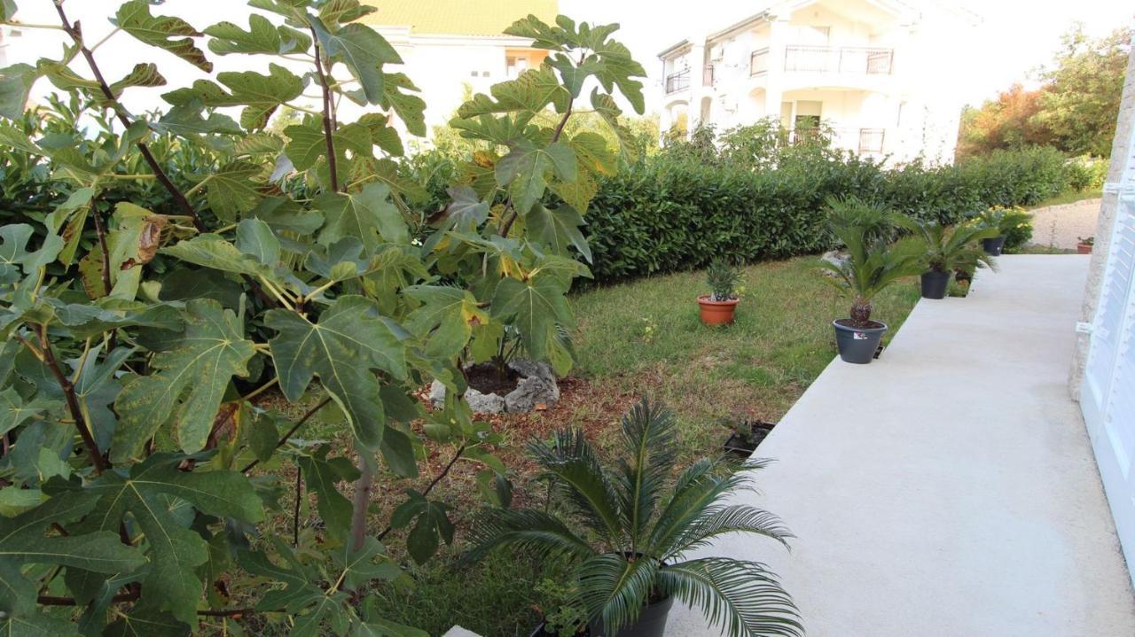 Apartments Jela Sveti Vid-Miholjice Екстериор снимка